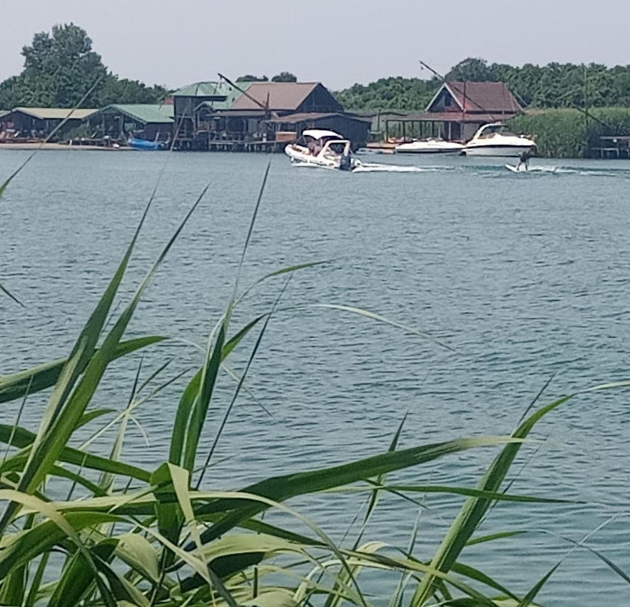 House Thoni
